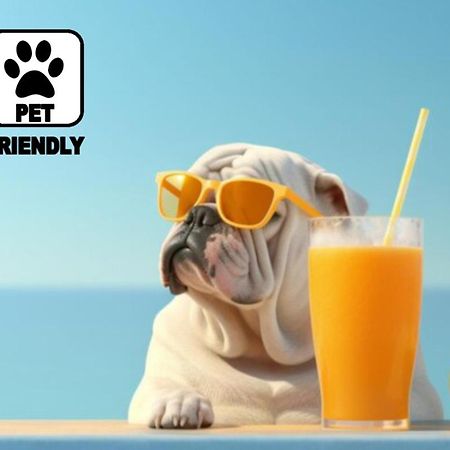 Bed and Breakfast San Carlo - Terrazzo Sul Mare Con Ristorante E Pizzeria Zambrone Exterior foto